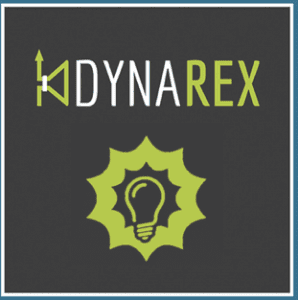 Dynarex Gutachter Partner